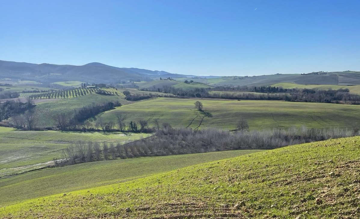 COLLINE PISANE (PI) - Borgo toscano composto da più fabbricati colonici